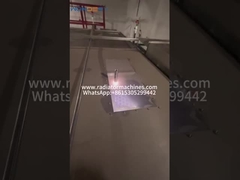 Aşırı mühürleyici salıncak kurutma tankı vakum aşılama hattı